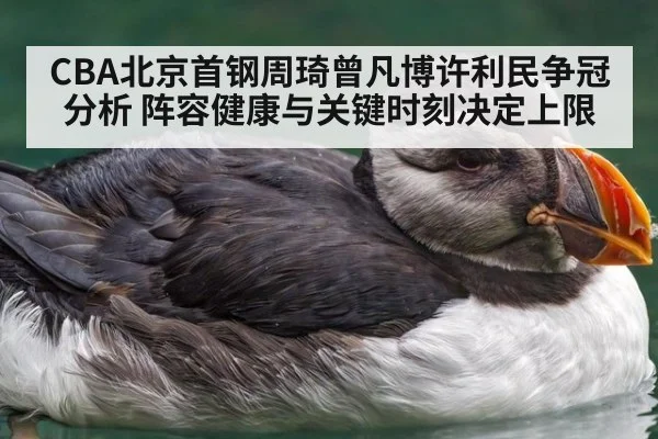 CBA北京首钢周琦曾凡博许利民争冠分析 阵容健康与关键时刻决定上限