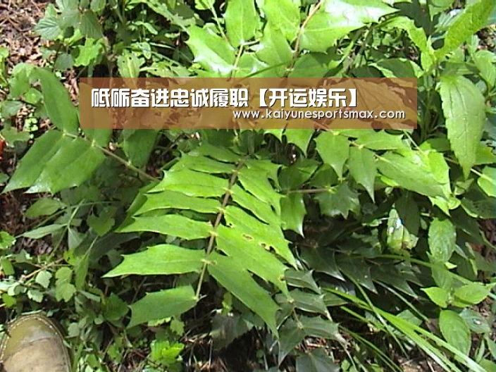 砥砺奋进忠诚履职【开运娱乐】(图2) 开运官网